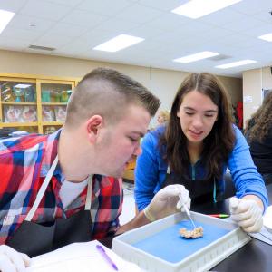 Biological Sciences Web Hero